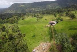 Monte Alto Farm: Exclusive tourist area at the Foot of Tenorio Volcano National Park