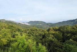 Lot 22B Pacific Heights, Playa Potrero!: Views, nature, privacy, water and building permit!