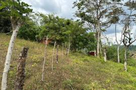 Buena Vista Land: Mountain Home Construction Site For Sale in Bijagua