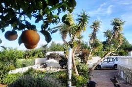 Algarve Country Cottage with Pool Ref 202 Algarve Country Cottage with Pool Ref 202