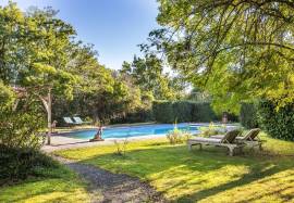 Charming 18th century house with swimming pool, Pyrenees views and gite