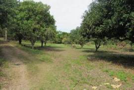 Land-Plot for sale in Lo-De-Marcos Mexico