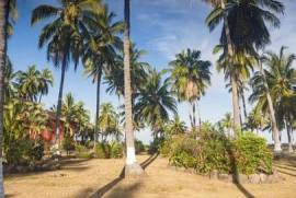 Land-Plot for sale in Playa Las Tortugas Mexico