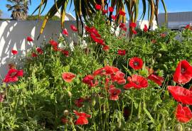Weskushuis Self-Catering Units For Sale In Jacobs Bay Cape Town South Africa Weskushuis Self-Catering Units For Sale In Jacobs Bay Cape Town South Africa