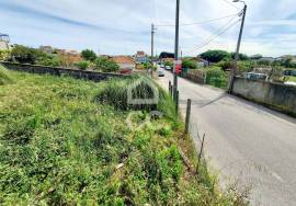 Land for Sale in Madalena - Gaia