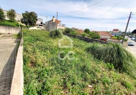 Land for Sale in Madalena - Gaia