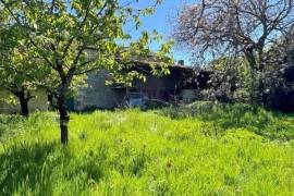 Barn With Orchard in Rural Idyll