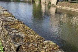 Building Plot Bordering the River Varenne Building Plot Bordering the River Varenne