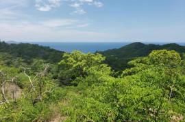 Pacific Heights Parcel: Mountain Development Parcel For Sale in Playa Potrero