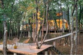 The house in the trees