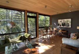 The house in the trees