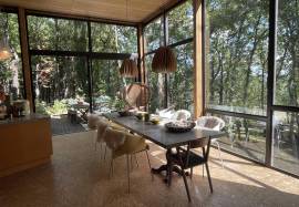 The house in the trees