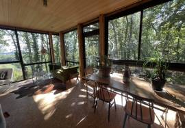 The house in the trees