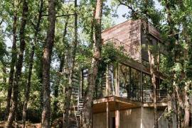 The house in the trees