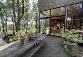 The house in the trees