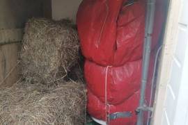 Countryside Chalet and Mobile Home in Rural Hamlet