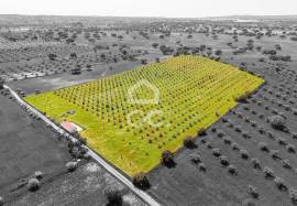 Farmhouse Portel Oriola