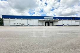 Armazém com 2.000m2 com bons acessos