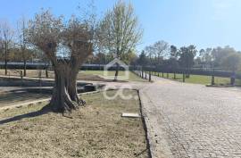Quinta with grande Palacete in Penafiel