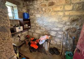 Farm in São Martinho de Mouros with several rooms and rooms with high potential for tourism and local accommodation