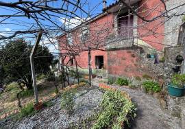 Farm in São Martinho de Mouros with several rooms and rooms with high potential for tourism and local accommodation