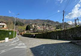 Farm in São Martinho de Mouros with several rooms and rooms with high potential for tourism and local accommodation