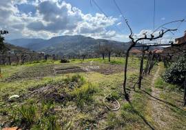 Farm in São Martinho de Mouros with several rooms and rooms with high potential for tourism and local accommodation