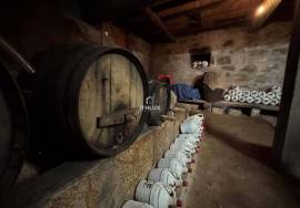 Farm in São Martinho de Mouros with several rooms and rooms with high potential for tourism and local accommodation