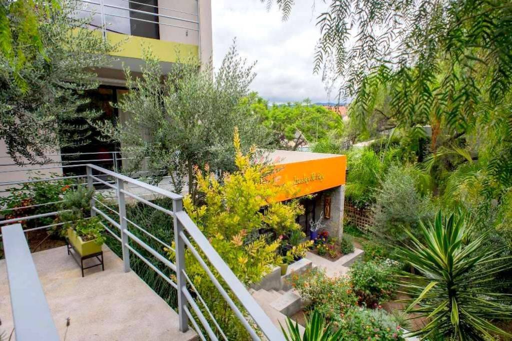 Luxury Glass House With 2 Bed Apartment & Studio For Sale In San Miguel de Allende