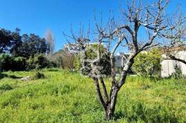 Building Land – 510m² in Vila Nova da Telha, Maia