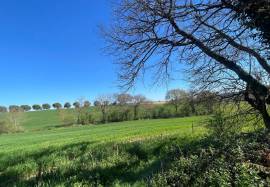 Beautiful farmhouse to renovate to your taste