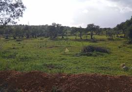 Rustic land 24070m² in Albufeira