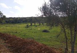 Rustic land 24070m² in Albufeira