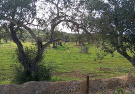 Rustic land 24070m² in Albufeira