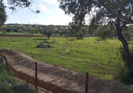 Rustic land 24070m² in Albufeira