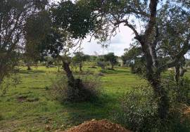 Rustic land 24070m² in Albufeira