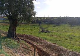 Rustic land 24070m² in Albufeira
