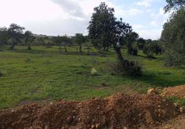 Rustic land 24070m² in Albufeira