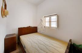 3 bedroom farm in Monchique