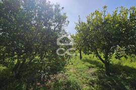 Farmhouse Beja
