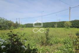 Farmhouse Beja