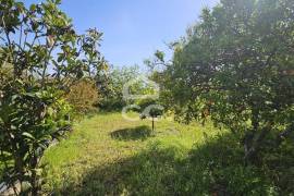 Farmhouse Beja