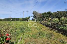 Farmhouse Beja