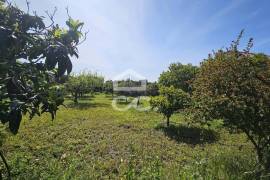 Farmhouse Beja