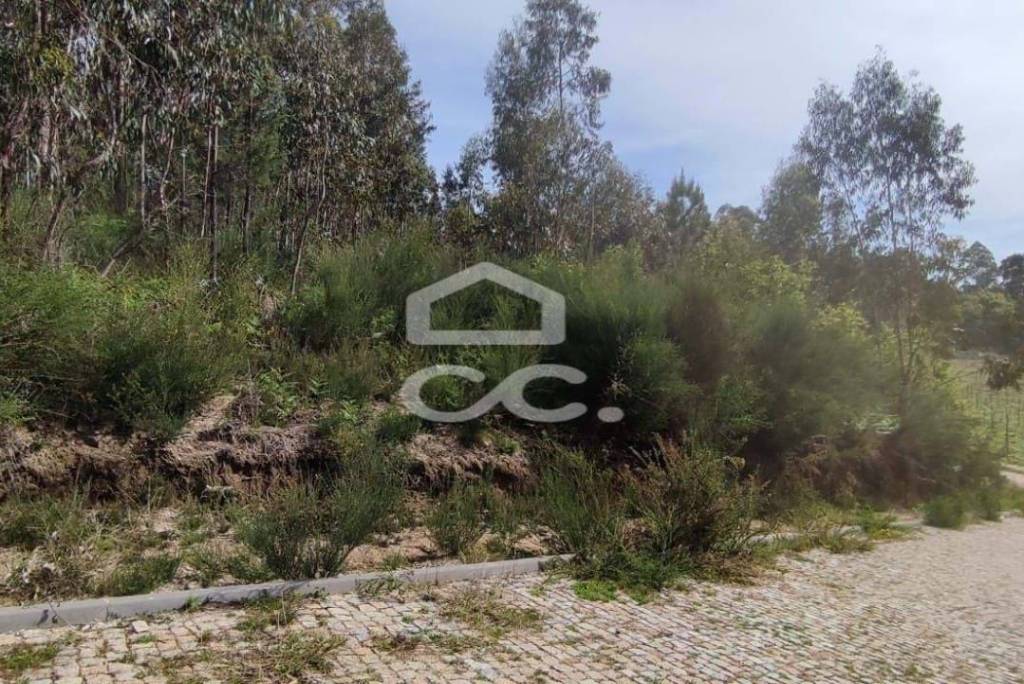 Land Paredes Baltar