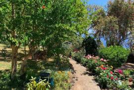 Traditional House For Sale