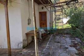 Amfilochia (Amfilochia)