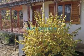 Amfilochia (Amfilochia)