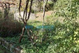 Amfilochia (Amfilochia)