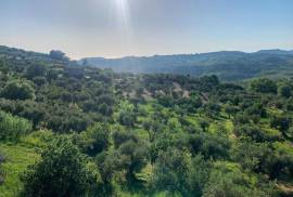 Commerical property with apartment for Sale In Cleto Calabria